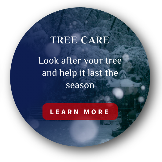 Tree Care