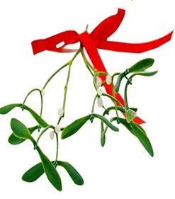 MISTLETOE £5.50